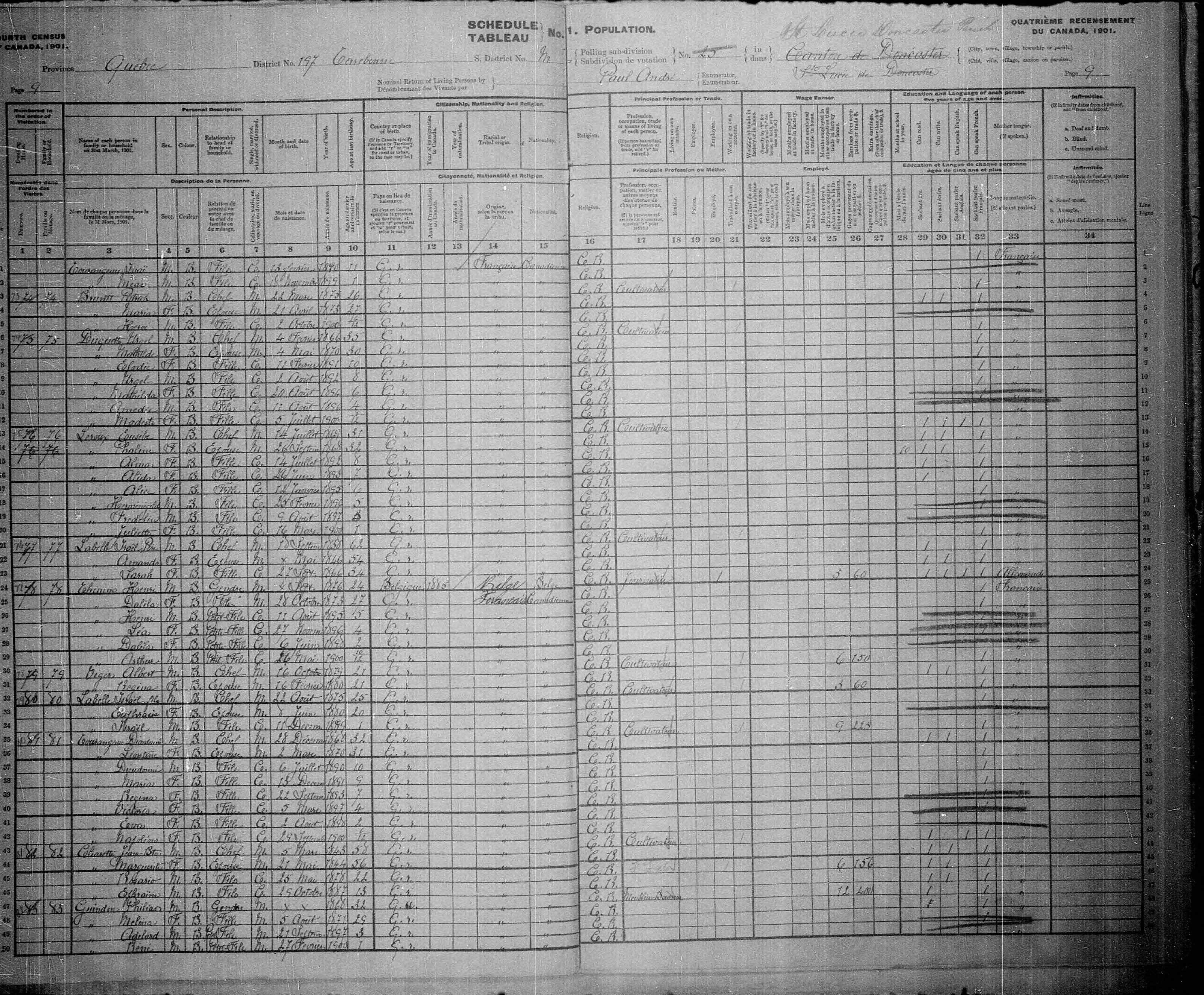 1901 Census Henri Timm and family